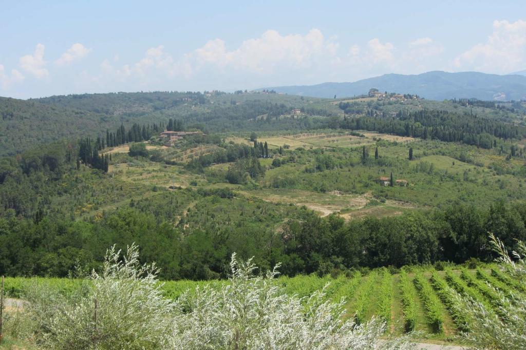 Winery Houses In Chianti Mercatale Val Di Pesa Ruang foto