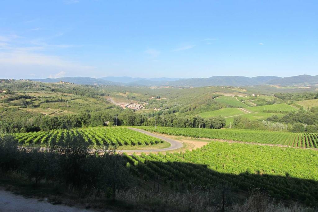 Winery Houses In Chianti Mercatale Val Di Pesa Bagian luar foto