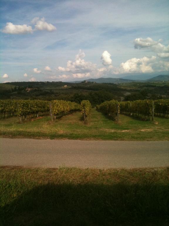 Winery Houses In Chianti Mercatale Val Di Pesa Ruang foto