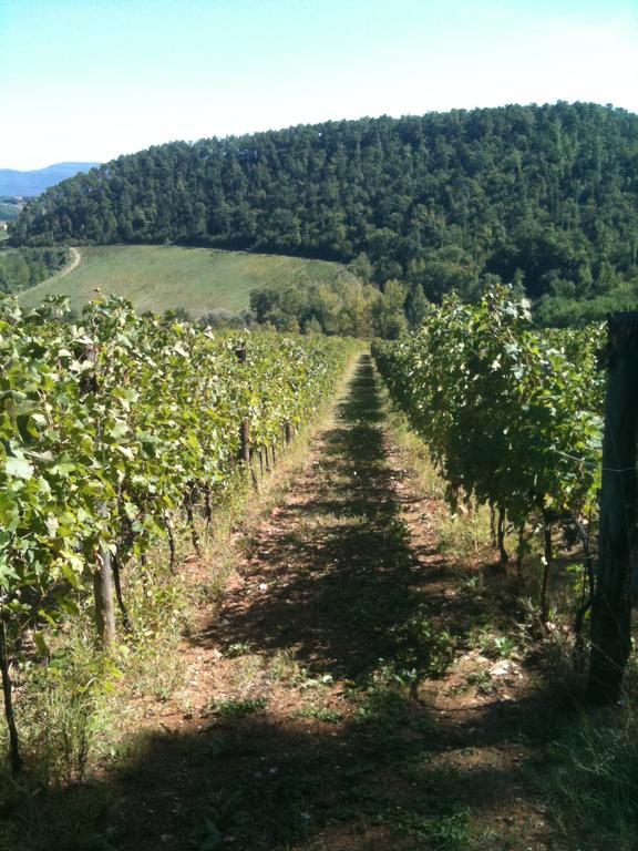 Winery Houses In Chianti Mercatale Val Di Pesa Ruang foto